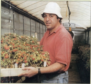ד"ר אברהם לוי. 30,000 גנים בעגבניה